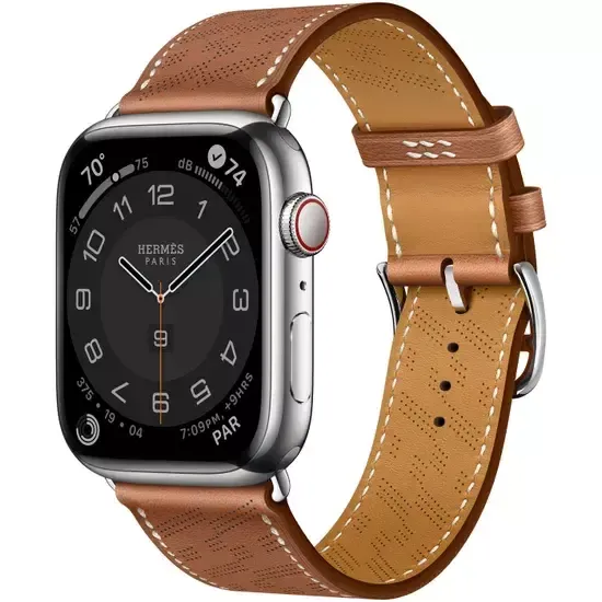 Apple Watch Hermès 45mm Silver Stainless Steel Case with H Diagonal Single Tour Gold
