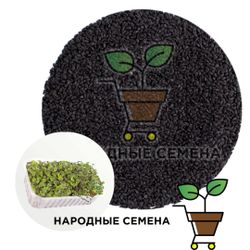 Базилик вкус корицы семена