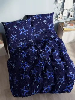 Наволочка комплект 2шт Полисатин Мечта "Астерия" 50x70 см на молнии