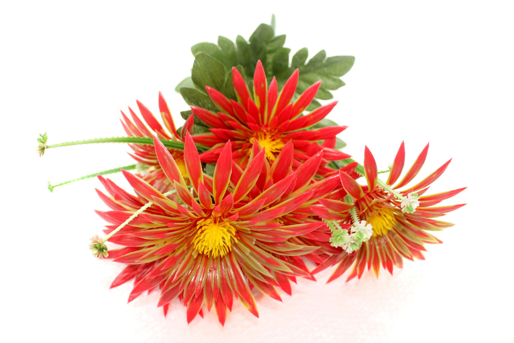 Букет Астры пластик