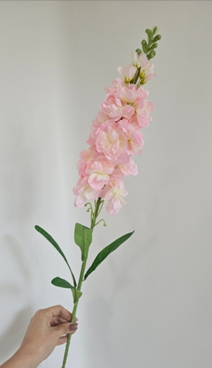 Дельфиниум / Арт 2354