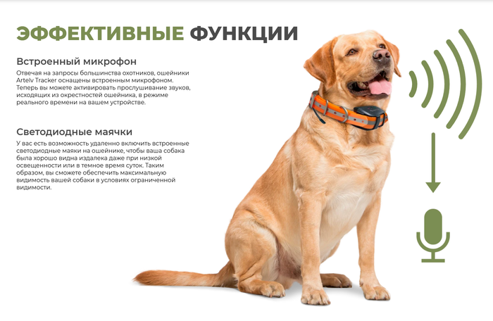GPS ошейник Artelv Tracker 0.5W с базовой станцией