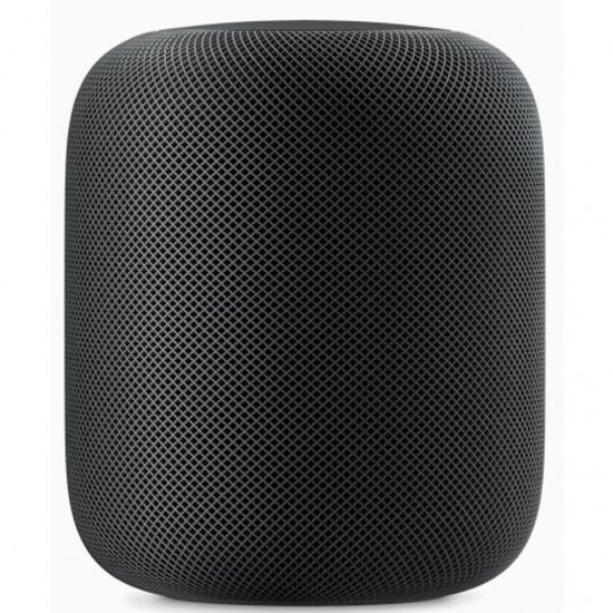 Apple HomePod Space Gray (Серый Космос) MQHW2