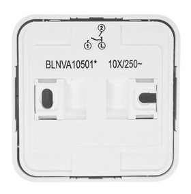 Выключатель о/у Blanca BLNVA105011, 2 клавиши, б/инд, белый 220812