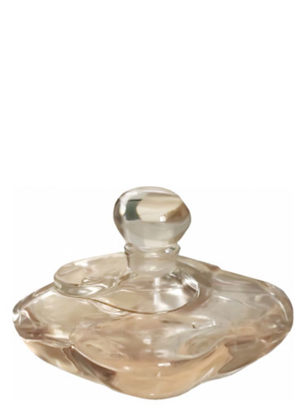 Shiseido Camelia Superieur