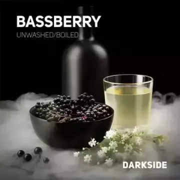 DarkSide - Bassberry