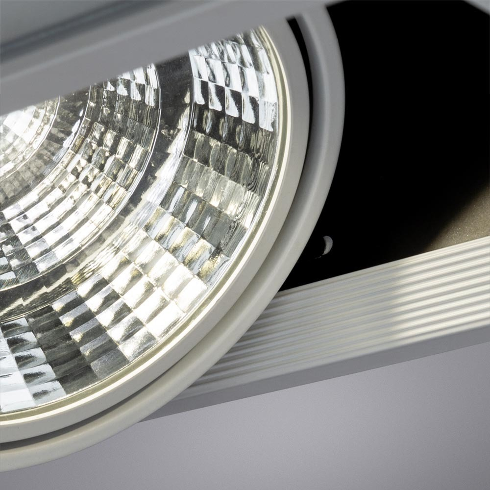 Встраиваемый светильник Arte Lamp A8450PL-2WH