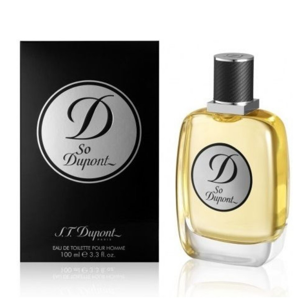 DUPONT SO edT 100ml men