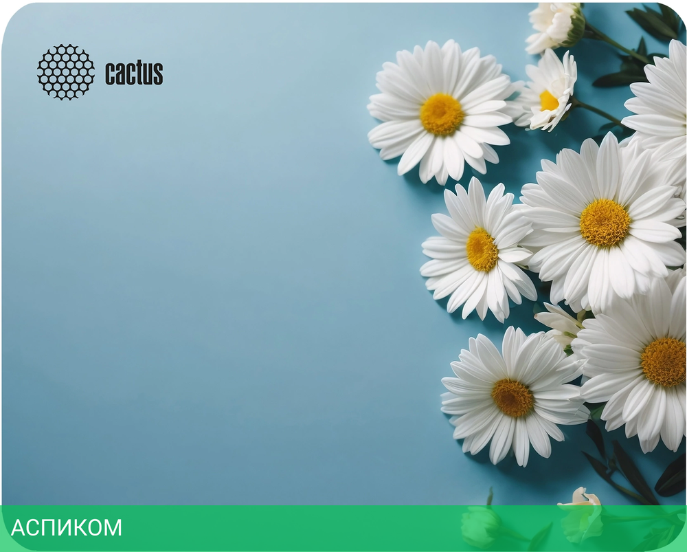 Коврик для мыши Cactus Daisies (CS-MP-D07S)