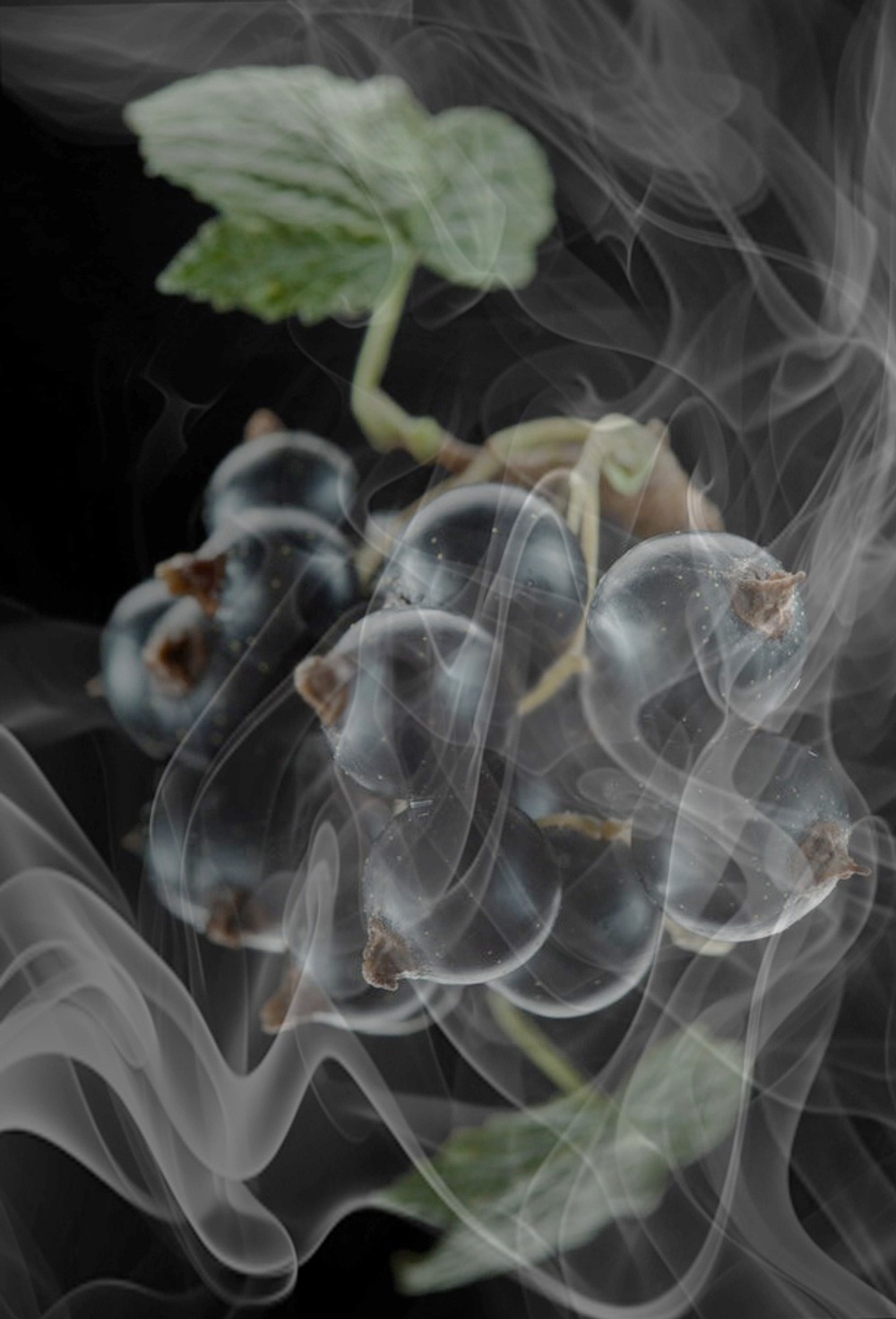 RIBES MERCAPTAN (1% DPG) / РИБЕС МЕРКАПТАН CAS 25265-71-8 ; 38462-22-5