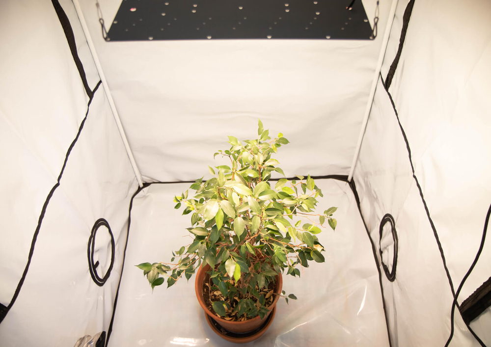 Готовый LED-гроубокс 40х40 Probox Basic LED 100W