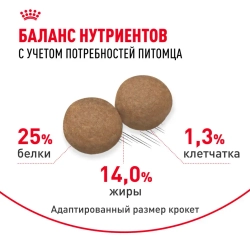 Royal canin medium adult сухой корм для взрослых собак средних пород от 12 месяцев до 7 лет, со свининой - 3 кг