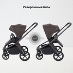 Детская коляска Rant Flex Therm Soft 3 в 1 с автокреслом Cruise Grey Shine Brown