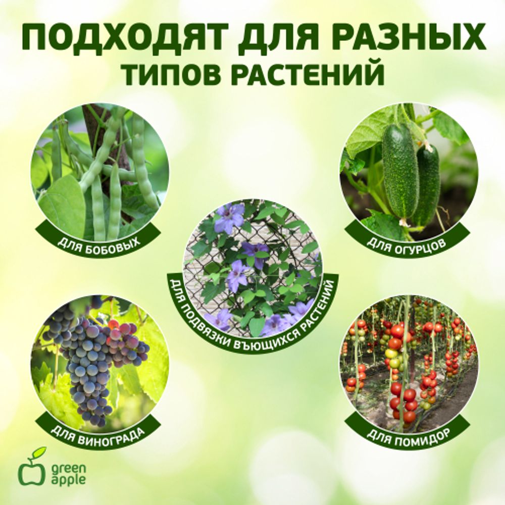 GPCR-2 GREEN APPLE Кольцо фиксатор цепочка