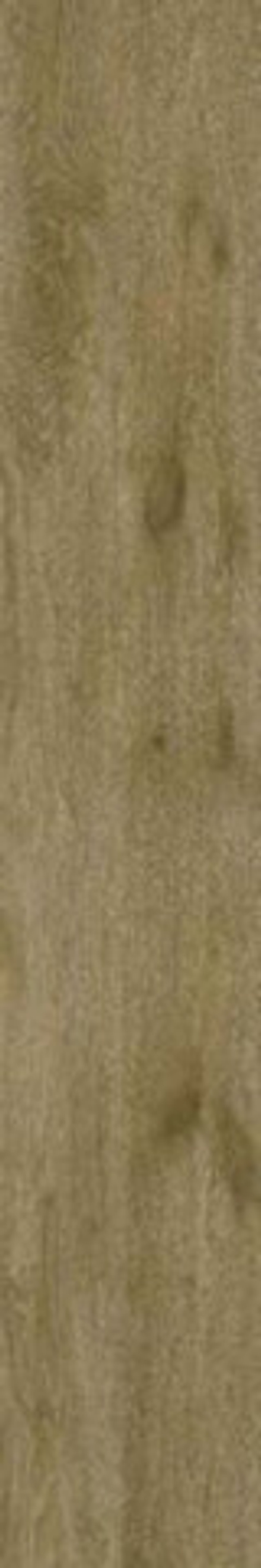 Керамогранит DRIFTWOOD NUT MATT