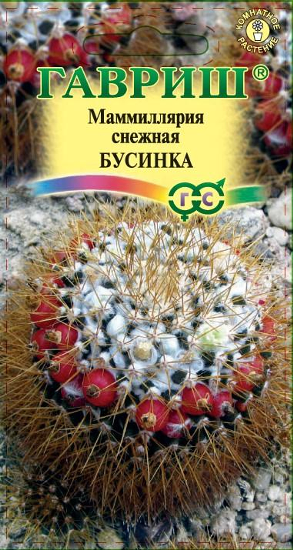 Маммиллярия (кактус) Бусинка 2шт (Гавриш)