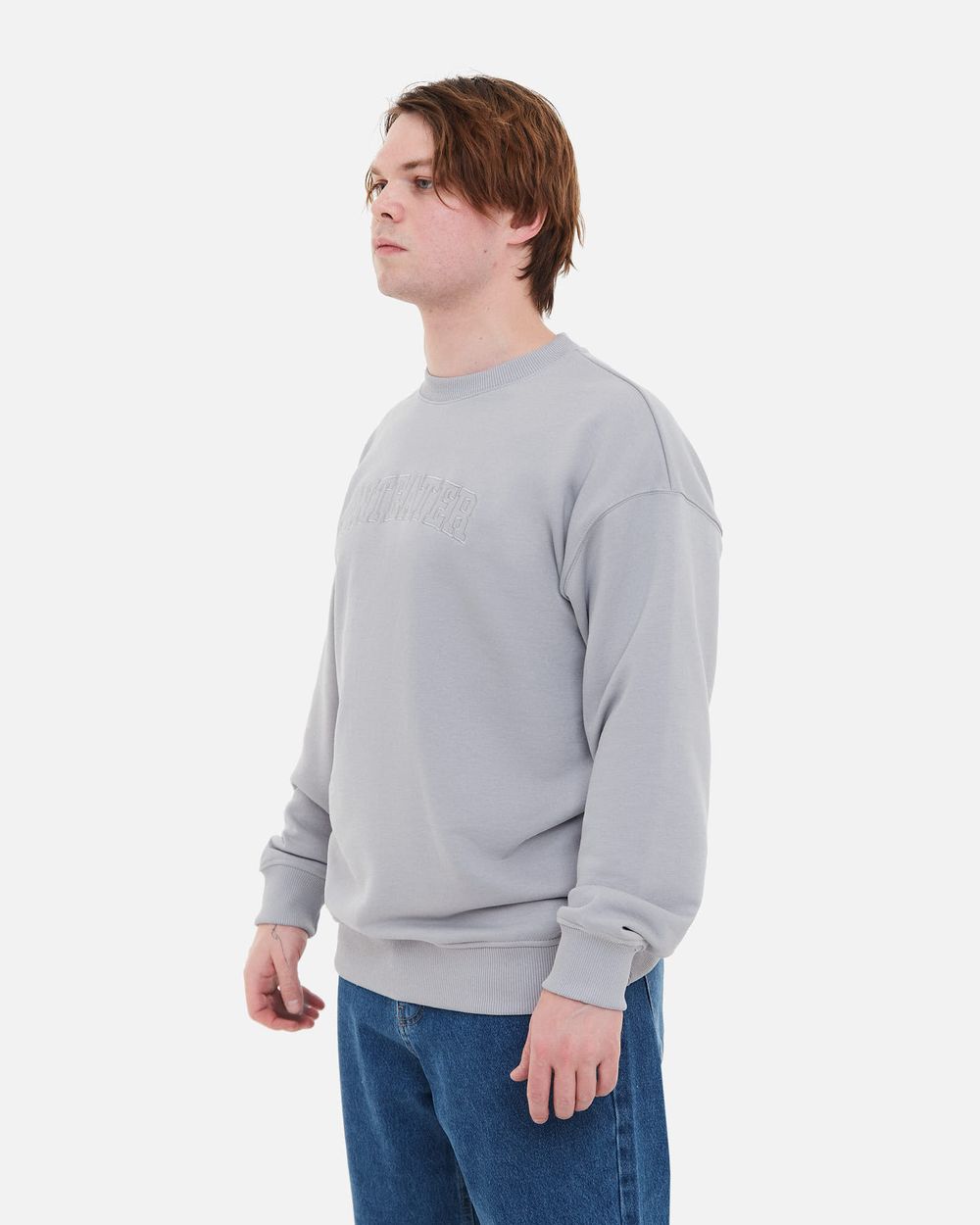 Купить Толстовка Anteater Crewneck BigText серая Толстовка Anteater Crewneck BigText серая