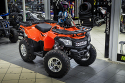 MOTOLAND ATV 200 MAX