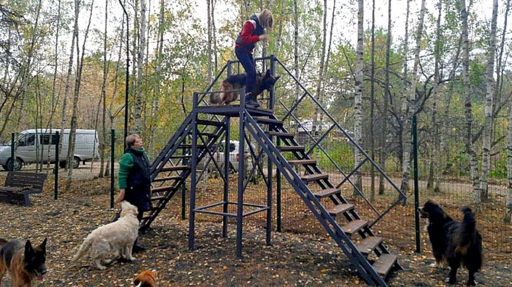 Вышка для дрессировки собак