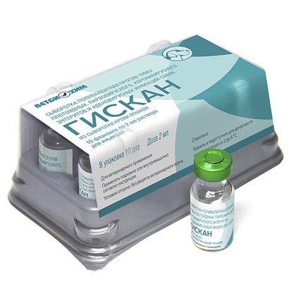 ГИСКАН Сыворотка поливалентная против чумы плотоядных, парвовирусного, коронавирусного энтеритов и аденовирусных инфекций собак