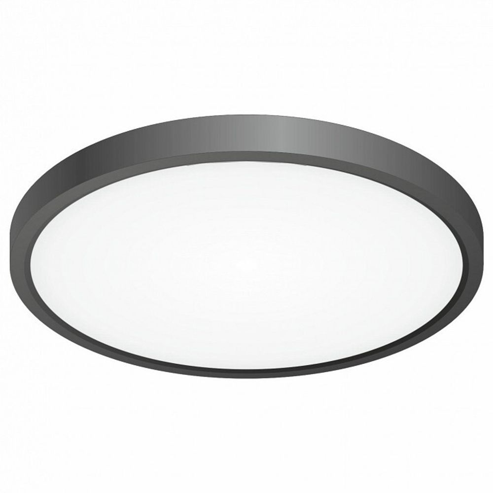 Накладной светильник Citilux Бейсик CL738241V