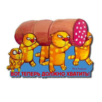 Сувенирный магнит "Вот теперь должно хватить!"