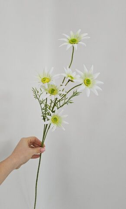 Хризантема / Арт 2433