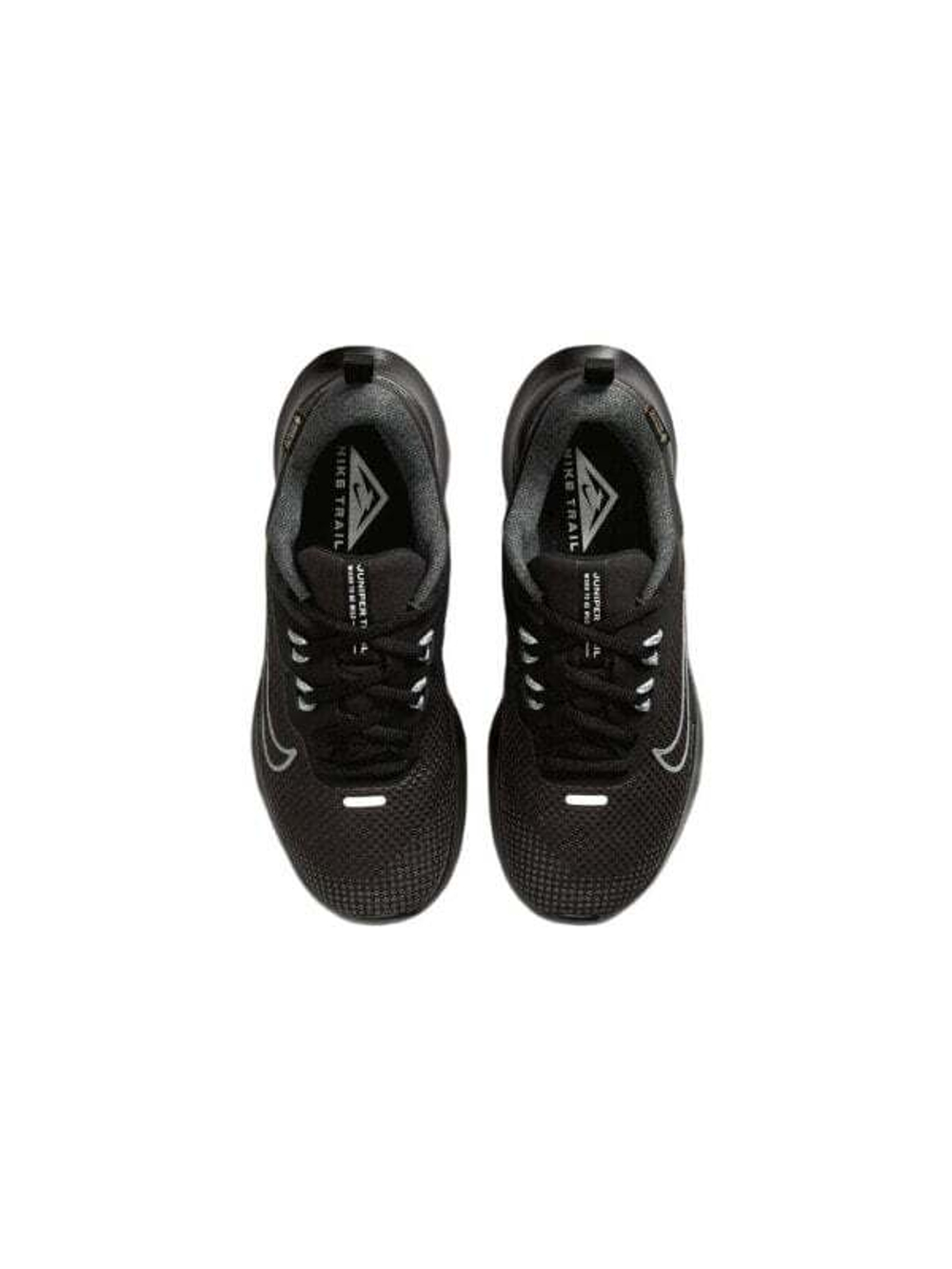 Кроссовки Nike Pegasus Trail 4 Gtx Waterproof 'Black' Women's