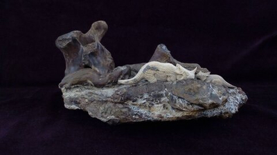 Письменный набор "Глубины мироздания"