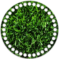 Донышко Принт 15см