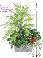 Композиция Тропическая из растений в кашпо