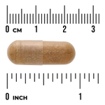 Swanson Vitamins, Печени, железистая, 500 мг, 60 капсул