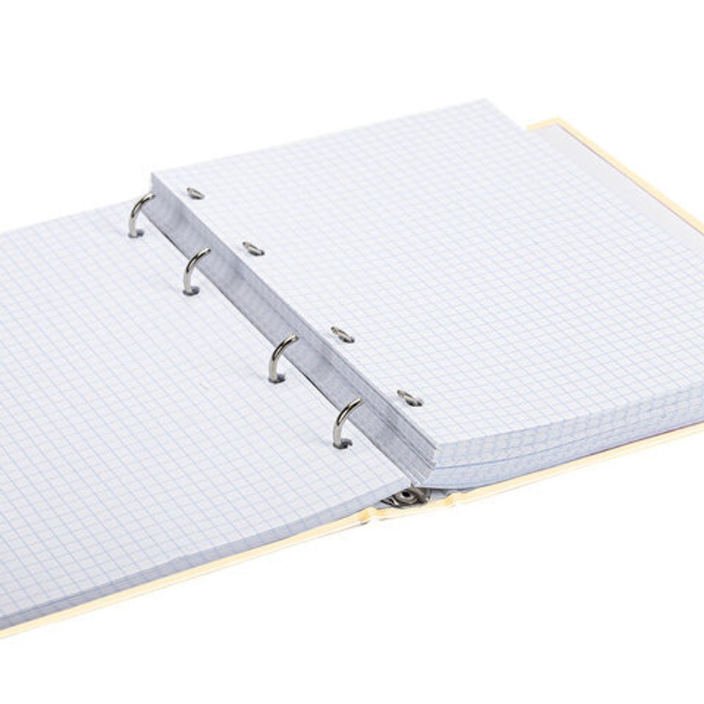 Тетрадь на кольцах А5 (175х215 мм), 240 л., обложка твердый картон, клетка, BRAUBERG, "Miracle", 404093