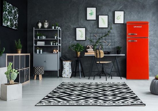 Холодильник Snaige FR-240-1RR1AAA