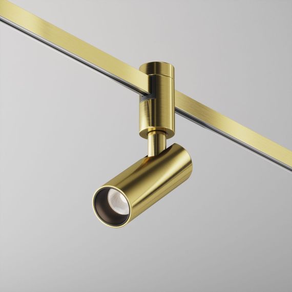 Трековый светодиодный светильник Maytoni Flarity Focus Led TR144-1-5W4K-W-BS