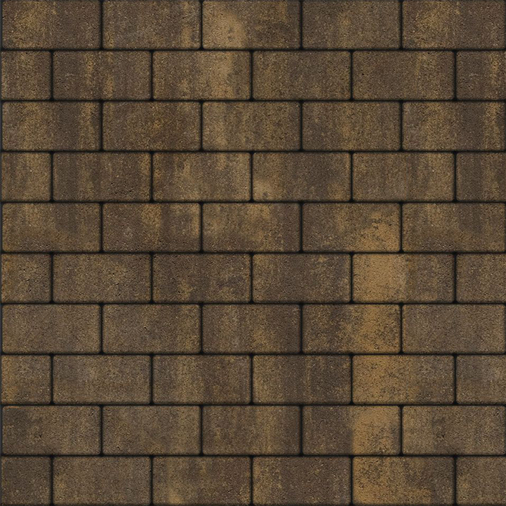 Тротуарная плитка ПРЯМОУГОЛЬНИК 200x100 мм - Листопад гладкий Мокко