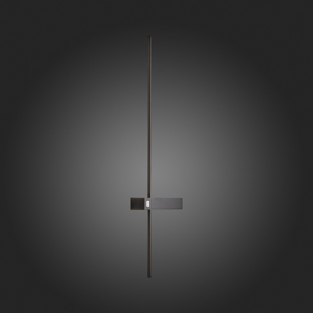 Светильник настенный ST Luce SL1589.041.01