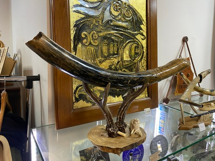 Бивень мамонта