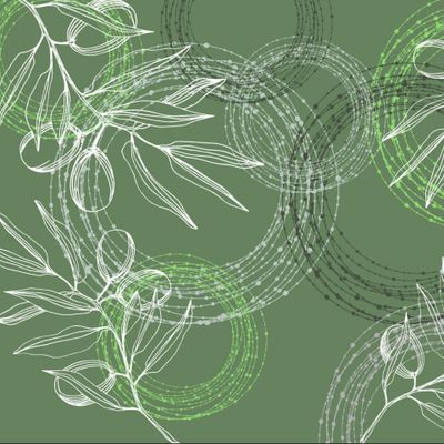 Оливка на оливке