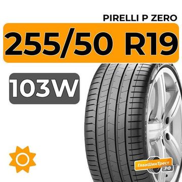 Pirelli P Zero 255/50 R19 103W XL