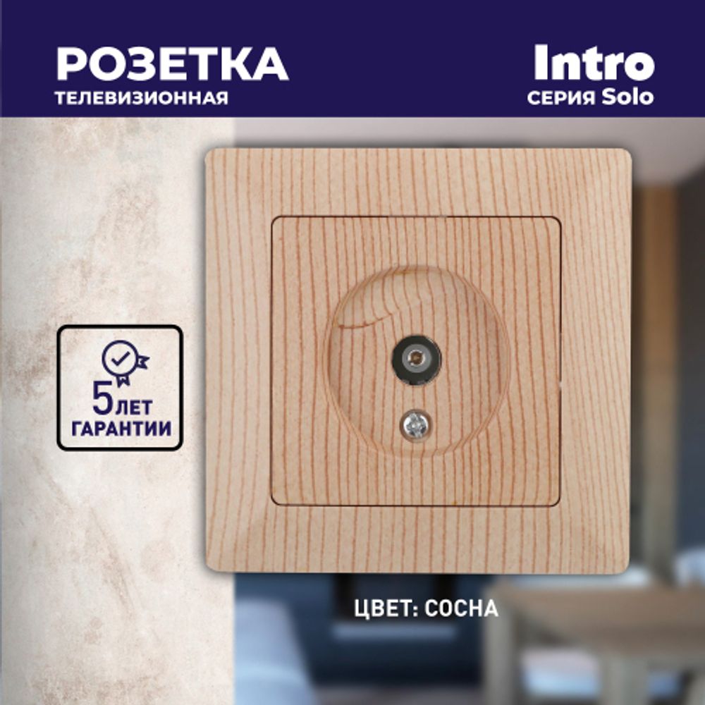 Розетка Intro Solo 4-301-11 TV одиночная, СУ, сосна