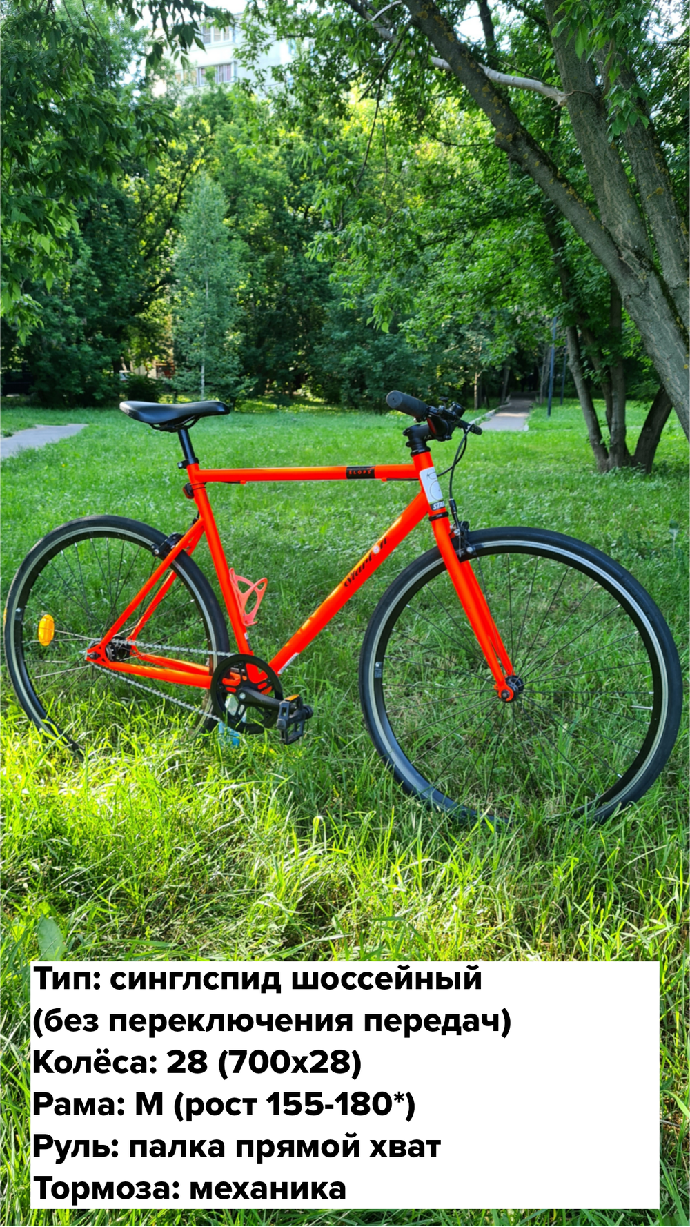 Прокат STARTON синглспид