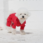 473 Спортивный костюм "Puppy Angel"