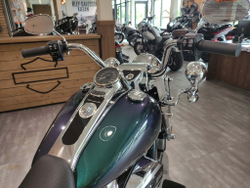 Freewheeler Harley-Davidson 2021 Snake Venom