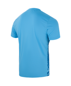 Футболка вратарская DIVISION PerFormDRY SPLASH GK Jersey, голубой