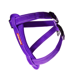Шлейка Chest Plate EzyDog