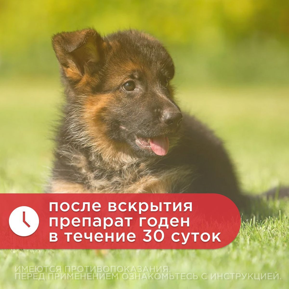 Цитодерм Капли ушные комплексные флакон, 10 мл