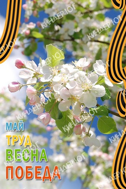 Баннер "9 мая" арт. Б3-26