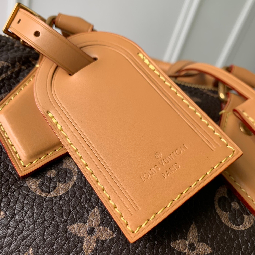 Louis Vuitton Speedy P9 Bandouliere 25