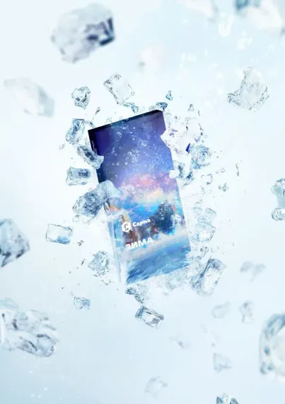 САРМА - Зима (100г)